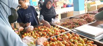 Pasokan Melimpah, Harga Tomat Turun di Malinau