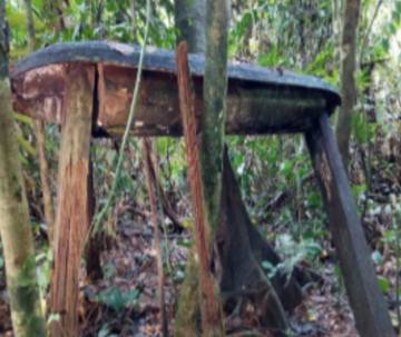 ‎Cagar Budaya Lungun Ngonan, Warisan Pemakaman Dayak Merap