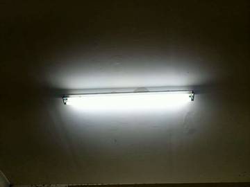 Lampu Neon Tawarkan Efisiensi Tinggi dan Cahaya Stabil