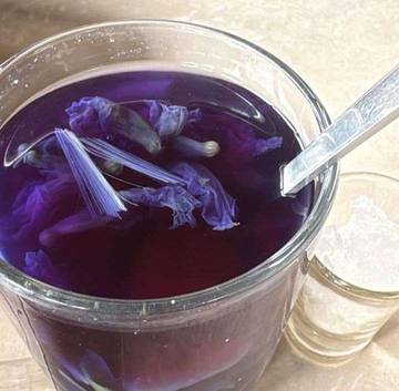 Manfaat Minum Bunga Telang Bagi Kesehatan