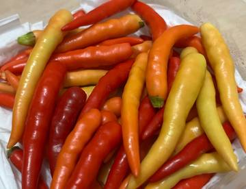 ‎Harga Cabai Rawit di Malinau Tembus Rp90.000