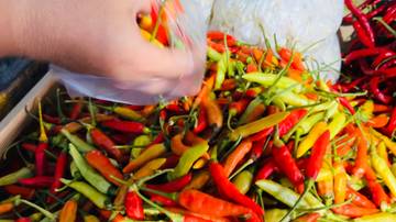 ‎Harga Cabai Rawit Merah di Malinau Mulai Turun