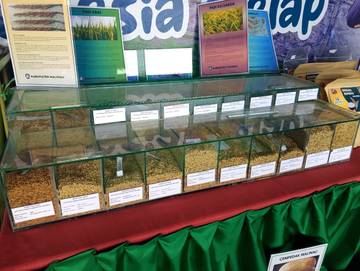 Peringatan Hari Otonomi Desa, Ajang Pameran Potensi Desa