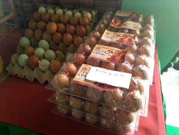 Anggaran Desa Menyusut, Desa Diminta Mandiri Tingkatkan PAD