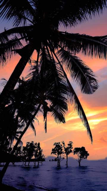 Top 5 Destinasi Wisata Sulbar Versi GenPI Sulbar 