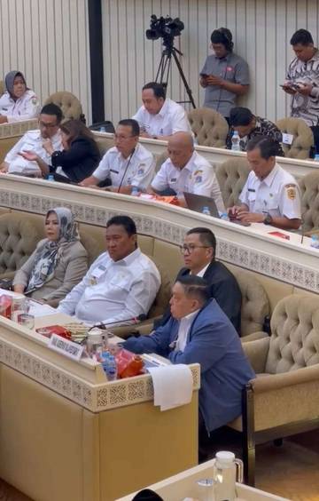 Wagub Sulbar Sampaikan Isu Strategis Pembangunan Daerah di Komisi II DPR RI