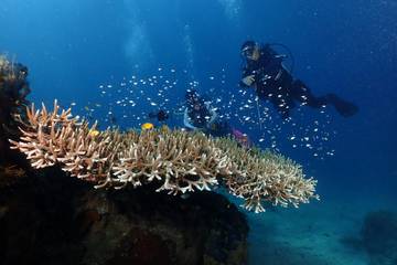 Tanjung  Ngalo, Potensi atau Hanya Cerita