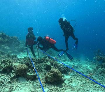 Pokdarwis : Membuat Pusat Pembibitan Karang sebagai Langkah Pemulihan