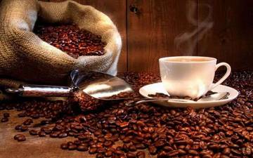 Rasa Khas Seduhan Kopi Mamasa
