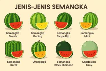 Macam-Macam Buah Semangka yang Perlu Diketahui