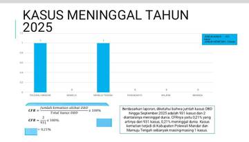 Dinkes Sulbar Catat 1.236 Kasus DBD Sepanjang 2025