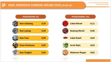 Periode Januari 2026, Inflasi Bulanan Sulbar Terkendali