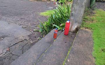 Botol Air berwarna Mengusir Hewan Liar: Benarkah?