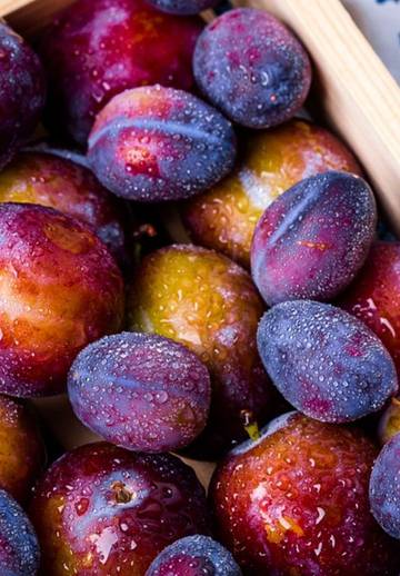Buah Bidara, Sumber Nutrisi Menjanjikan untuk Tubuh
