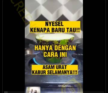 Hoaks Labu Siam Menjadi Obat Asam Urat