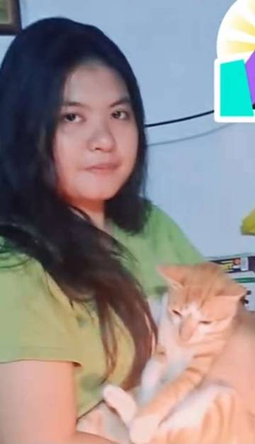 Bahaya Pemberian Madu Pada Kucing Yang Sakit