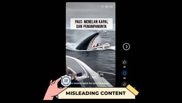 Hoaks Seekor Paus Menelan Kapal