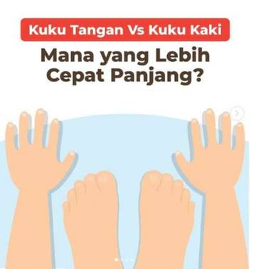 Mengapa Kuku Tangan Lebih Cepat Panjang dari Kuku Kaki?