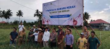 Panen Raya Bawang Merah,  Kelompok  Tani di Kotamobagu  Untung  100 Juta Rupiah