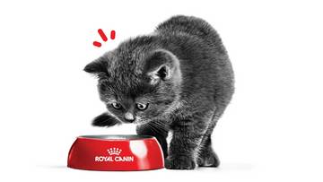 Starter Kit Royal Canin untuk Pemilik Baru