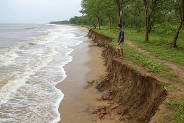 Abrasi Menggerus Pesisir, Solusi Mangrove Jadi Harapan