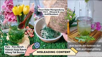 Hoaks Seduhan Bersihkan Paru-Paru