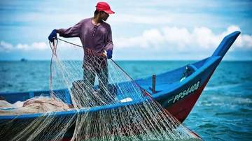 Fakta Penting di Balik Hari Ikan Sedunia