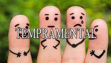 Temperamen vs Temperamental, Ternyata Dua Hal yang Berbeda