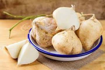 Bengkuang, Umbi Tropis Pilihan Diet Sehat
