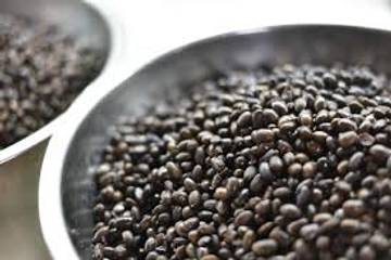 Kedelai Hitam, Superfood Lokal Sumber Nutrisi Kaya Protein