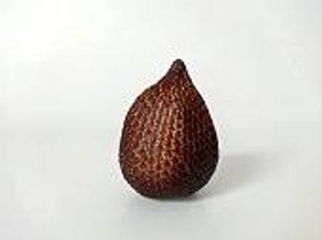 Salak Pondoh Buah Lokal Kaya Gizi, Kaya Serat