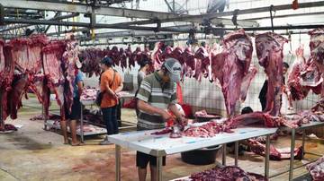 Harga Daging Sapi Stabil Ramadan Hingga Idul Fitri