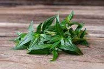 Sambiloto, Herbal Tradisional Tingkatkan Imunitas