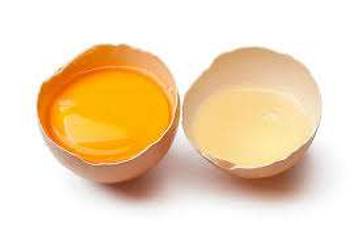 Putih Telur: Nutrisi Penting Sumber Protein Rendah Kalori
