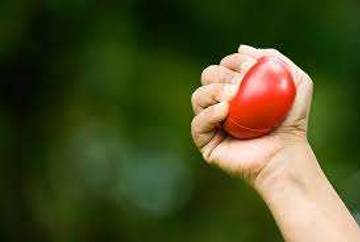 Stress Ball Terapi Praktis untuk Pikiran dan Tubuh