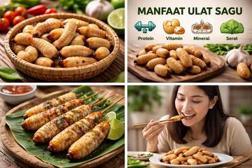 Manfaat Ulat Sagu untuk Kesehatan