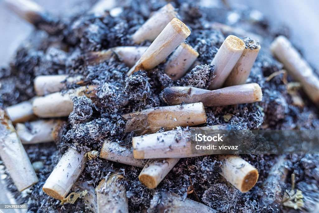 Benarkah Abu Rokok Bermanfaat? Ini Faktanya - RRI.co.id