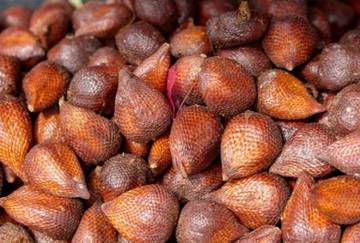 Fakta Menarik Mengenai Buah salak