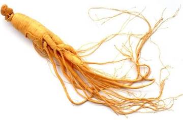 Fakta Ginseng Untuk Kesehatan Tubuh