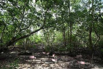 Melihat Keindahan Telaga Wasti di Manokwari