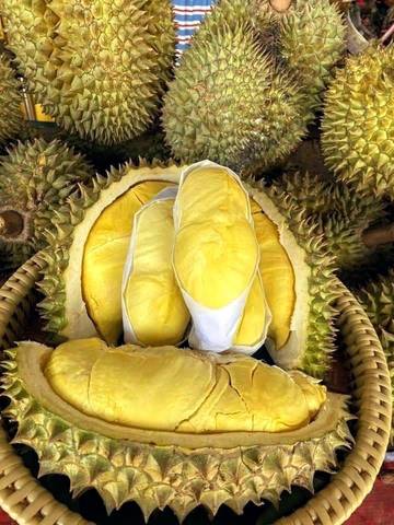 Mengenal Manfaat Buah Durian untuk Tubuh Kita