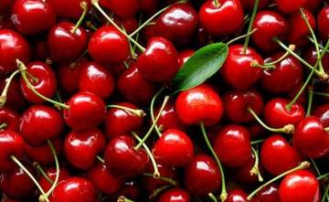 Fakta Menarik Buah Cherry