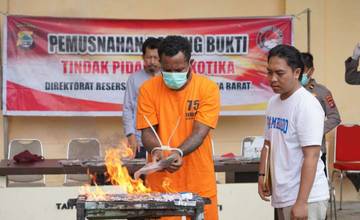 Polisi Musnahkan Barang Bukti 353,99 Gram Ganja