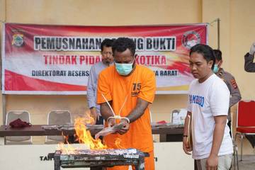 Polda Papua Barat Musnahkan Narkoba Jenis Ganja 