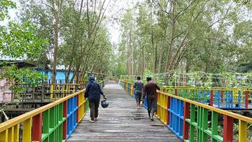 DPLH Bintuni Berencana Kembangkan Wisata Mangrove Di Masina 
