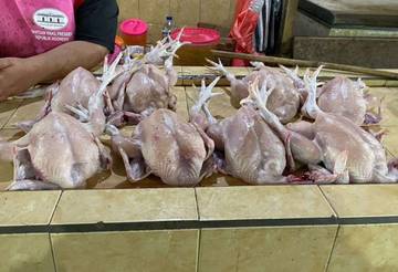 Harga Daging Ayam di Pasar Wosi Manokwari Naik Harga