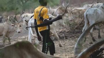 42 Orang Tewas Diserang Peternak Bersenjata di Nigeria