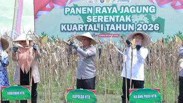 Kapolda NTB Panen Raya Jagung Serentak Awal 2026
