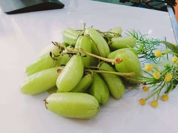 Manfaat Kesehatan Tersembunyi Belimbing Wuluh