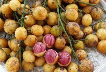 Buah Menteng Kian Langka, Kaya Manfaat bagi Kesehatan